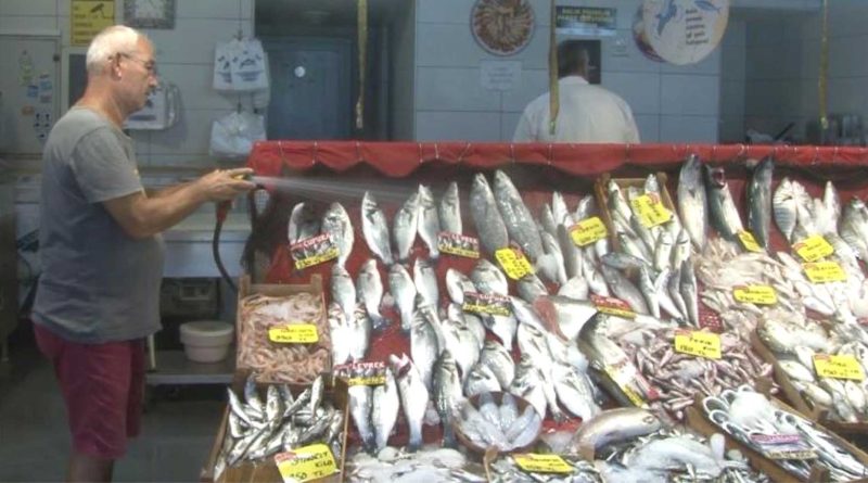 Balikcilar av sezonundan umutlu