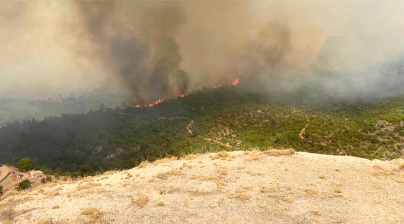 canakkale orman yangini koy