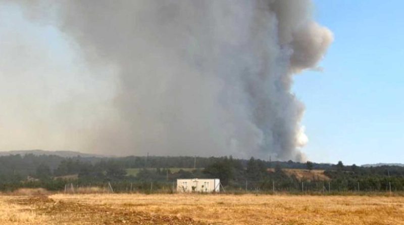 canakkale tskdan detek