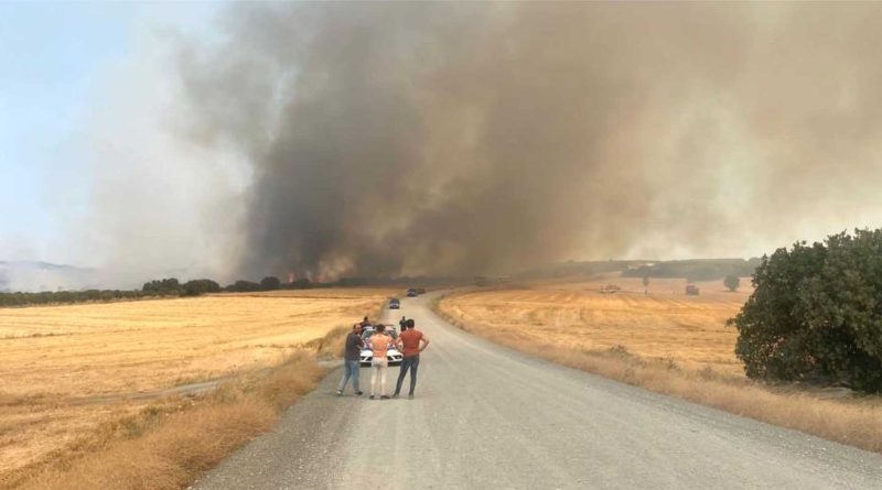 gelibolu yarimadasi yanyr