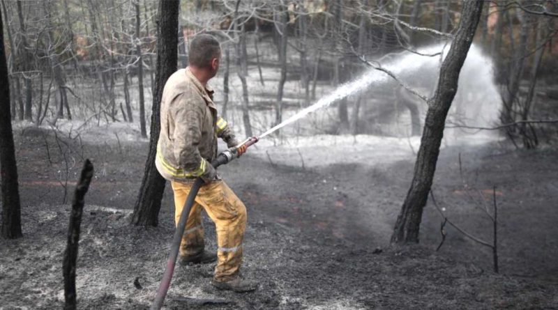 Bursada ormanlik alanda cikan yangin 17 saatin sonunda kontrol altina alindi