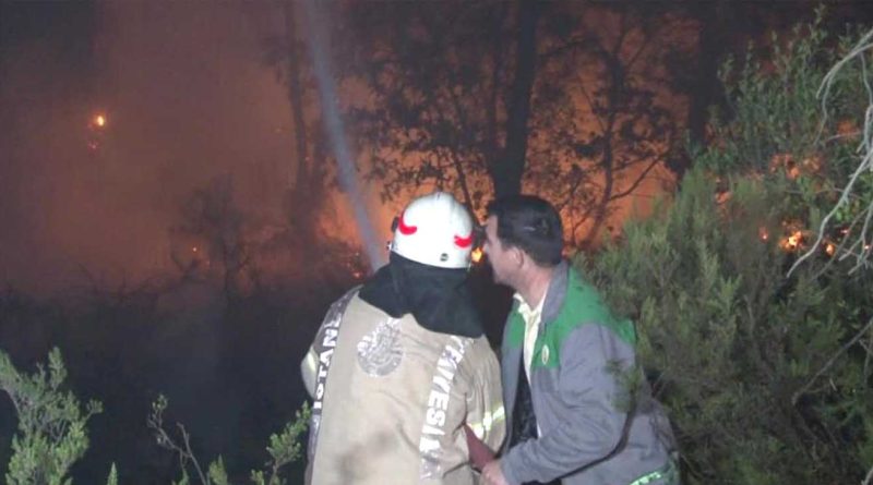 cekmekoyde orman yangini