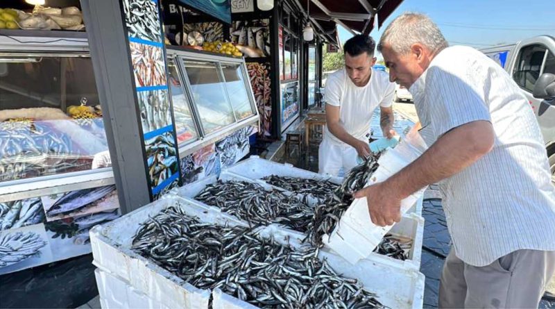 fiyati 20 liraya kadar dustu