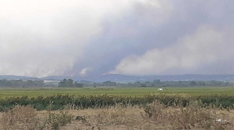 gin Edirne sinirina dayandi