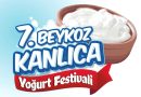 kanlica yogurt festivali basliyor