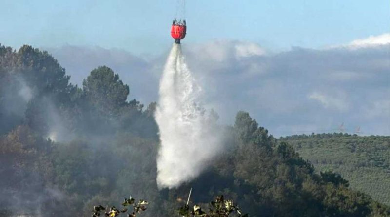 sultangazi kent ormani