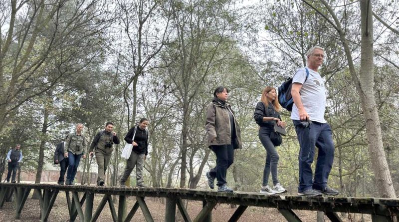 A Sinifi Diploma incelemesi