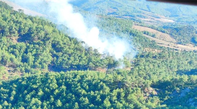 Ayvaciktaki orman yangini