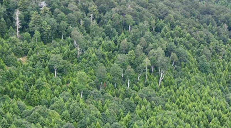 Balikesirde temiz hava