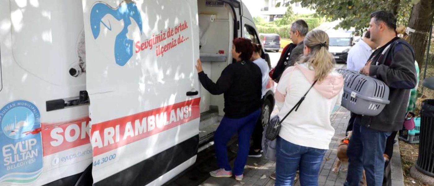 Eyupsultanda Sokak Hayvanlari Ambulansi