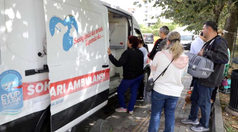 Eyupsultanda Sokak Hayvanlari Ambulansi