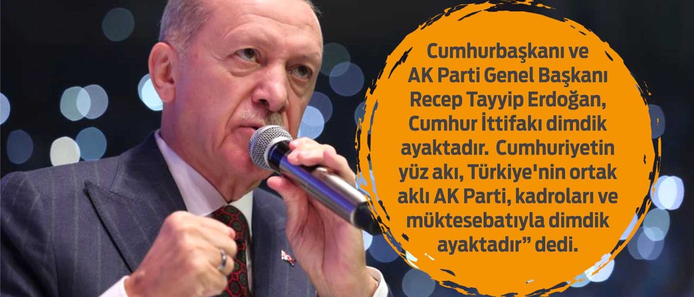 ak parti dimdik ayakatadi