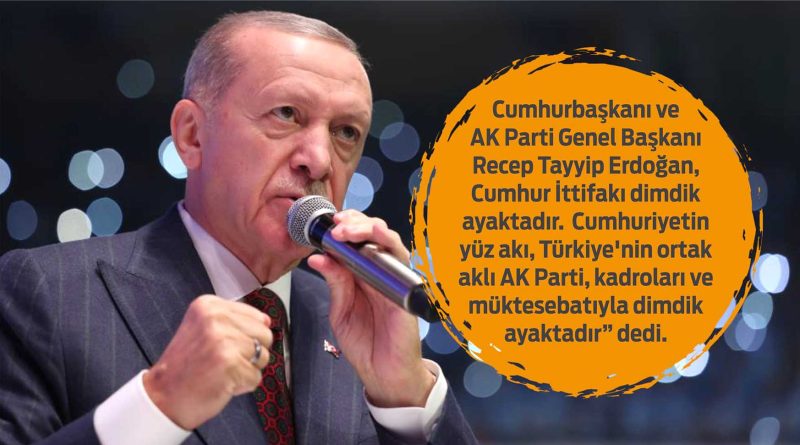 ak parti dimdik ayakatadi