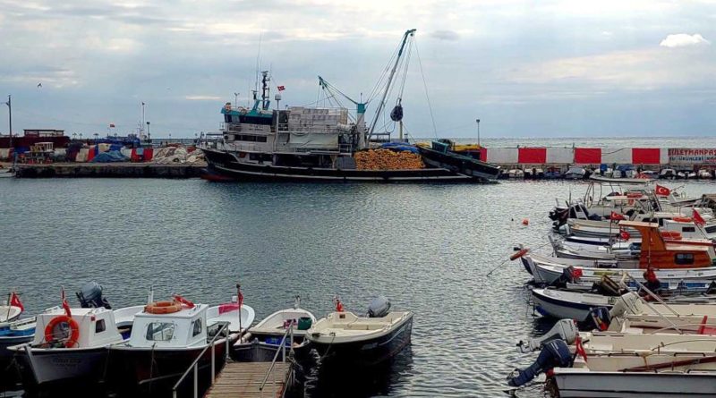 ulasimina poyraz engeli