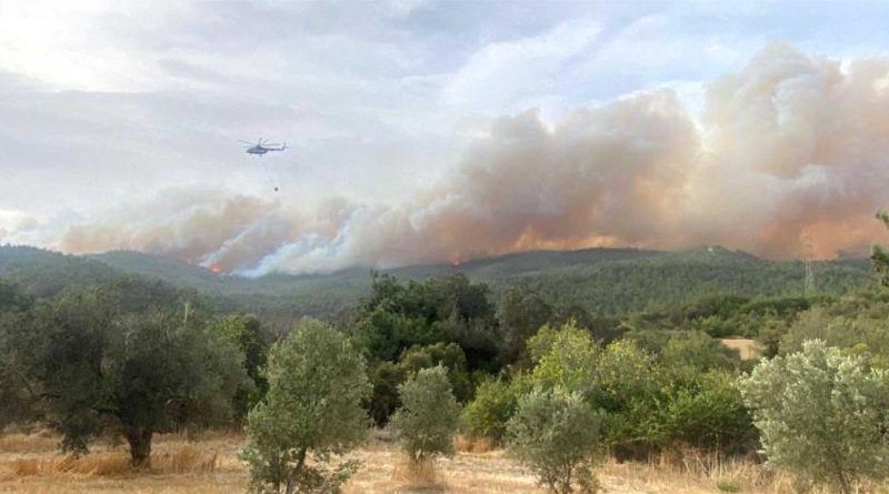 700 hektarlik alan zarar gordu