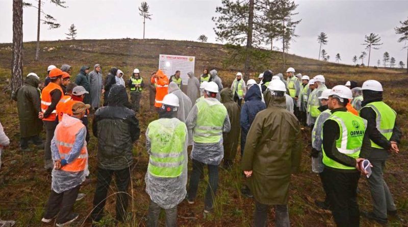 Balikesir OGM Silvikultur Egitimlerine