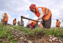 Balikesirde orman koylusu bildigi isle kalkindiriliyor