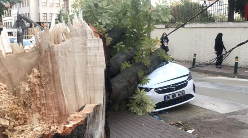 Bursada lodos hayati felc etti