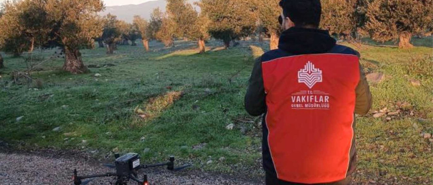 Ecdat emaneti zeytinliklerin sayimlari yapilarak koruma altina aliniyor