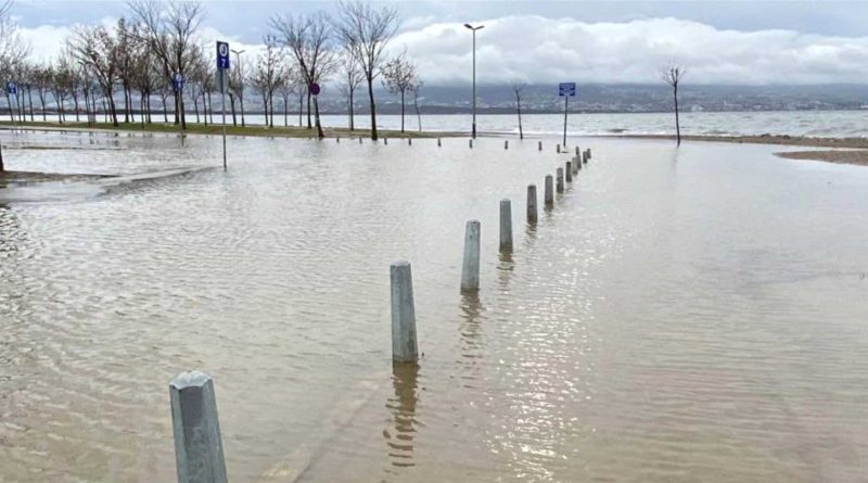 Kocaelide deniz tasti