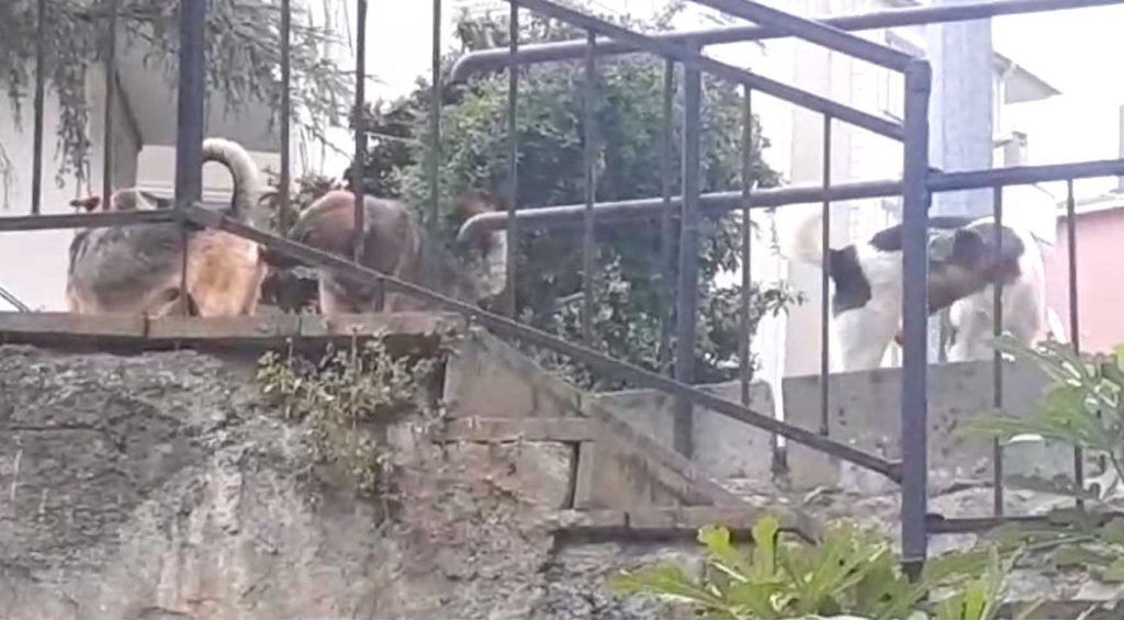 Beykoz Belediyesine mahalleliden tepki
