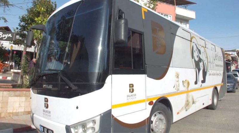 VETBUS can dostlar icin yola cikti