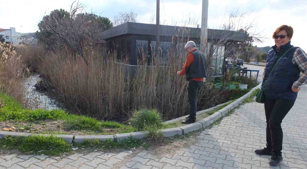 YOL SORUNUNA BASKI NESTERI