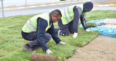 Balıkesir’de Belediye Kendi Çimini Üretiyor