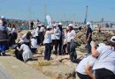 marmara kiyi